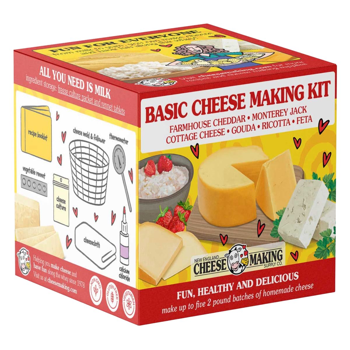 Basic Cheese Making Kit