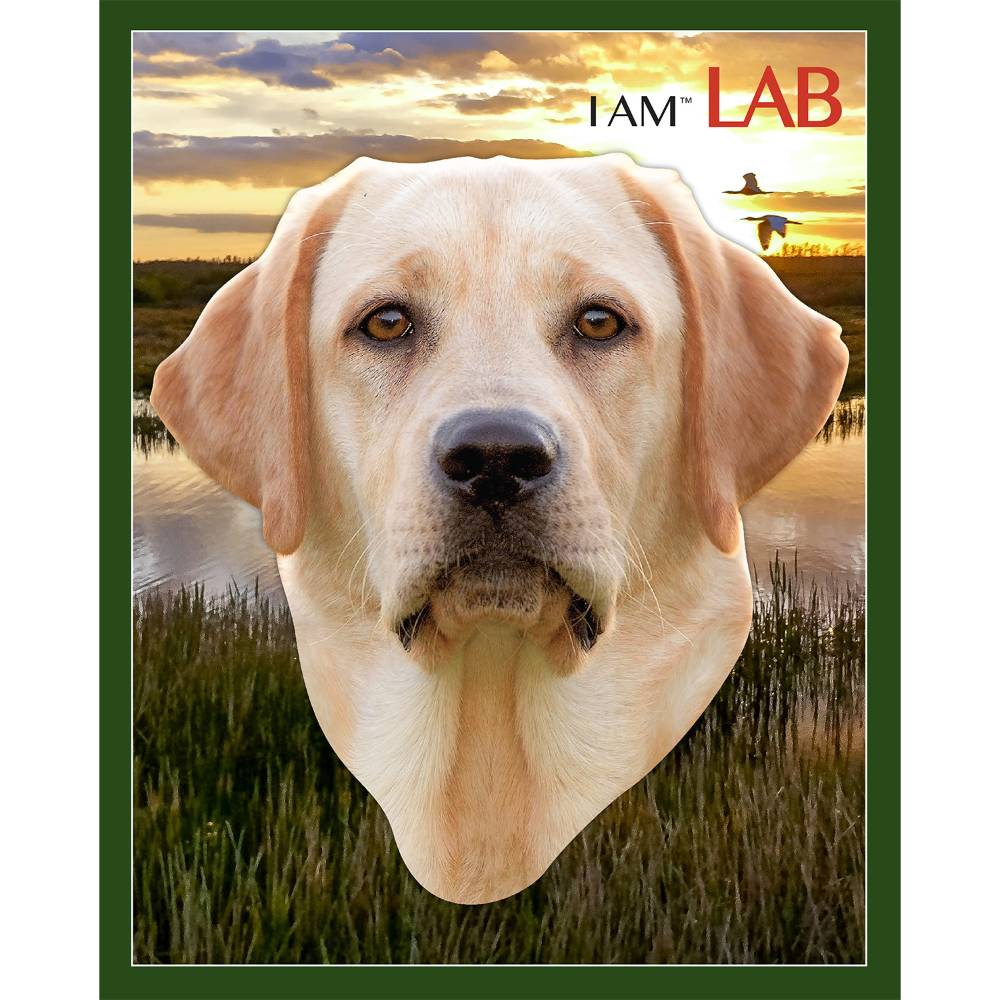 Shaped Jigsaw Puzzle - Lab - 550pcs