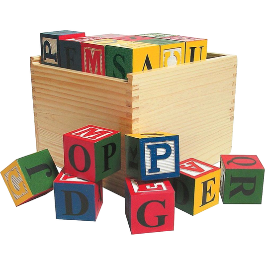 Large Wooden ABC Blocks