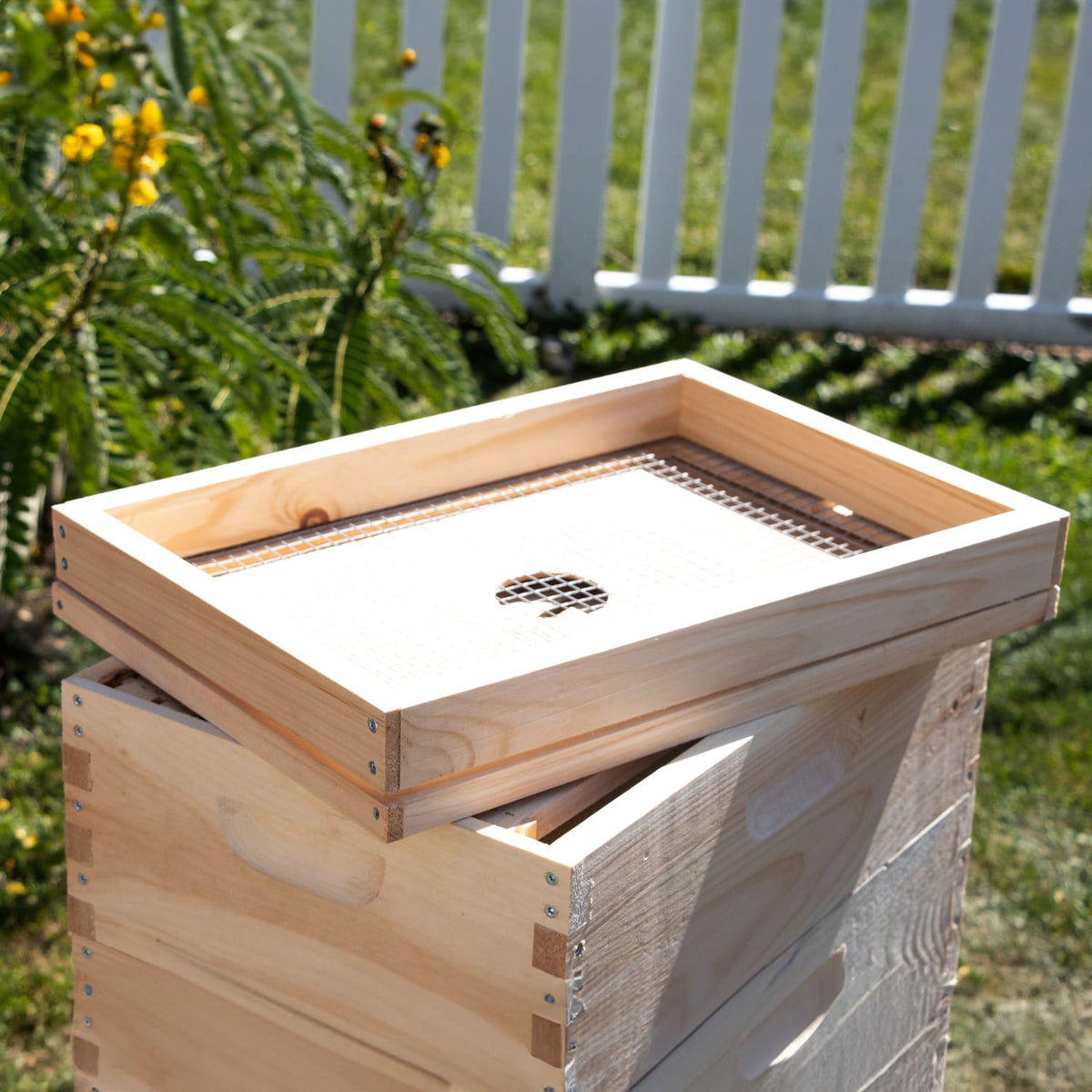 8-Frame Candy Board Feeder for Hive