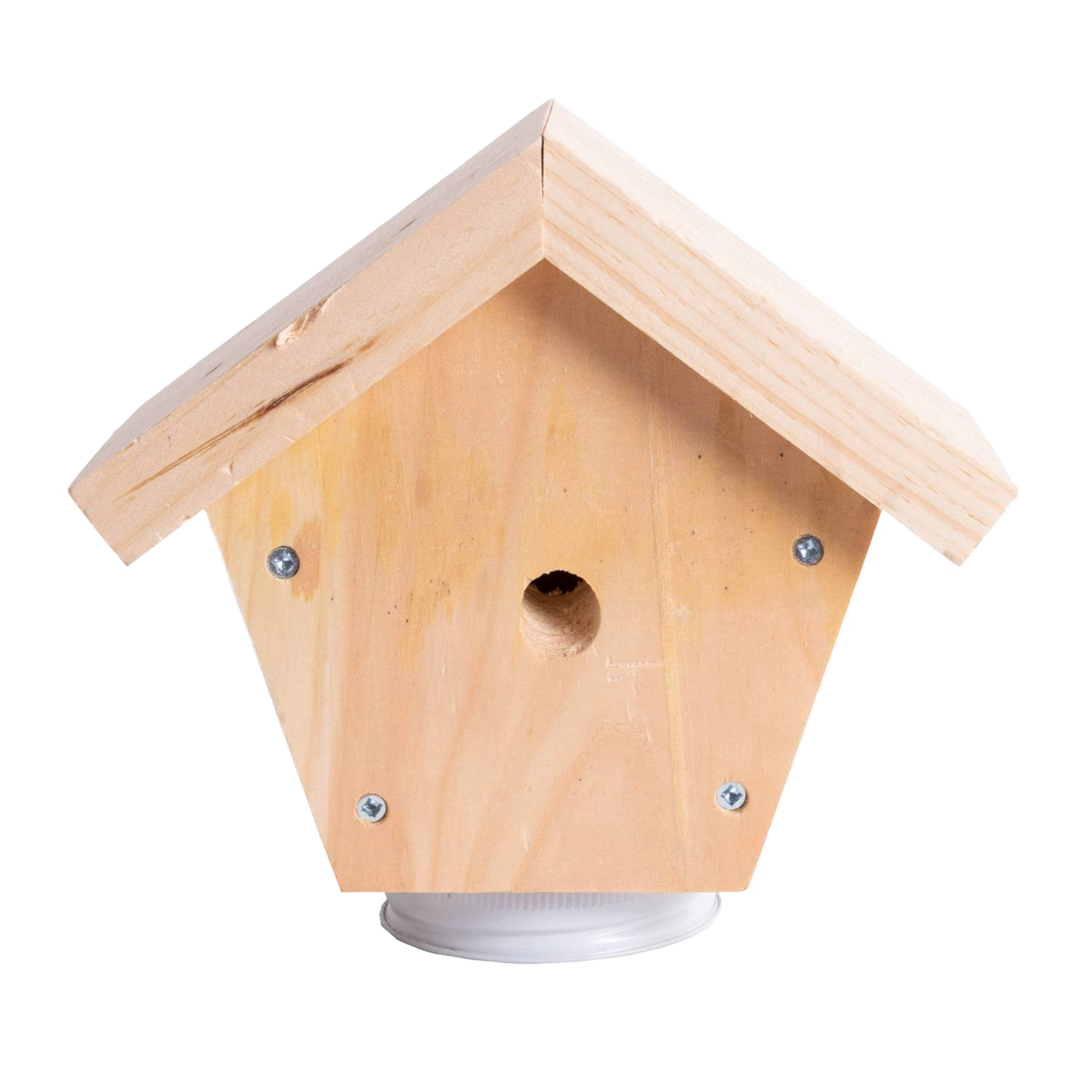 Outdoor Carpenter Bee Trap