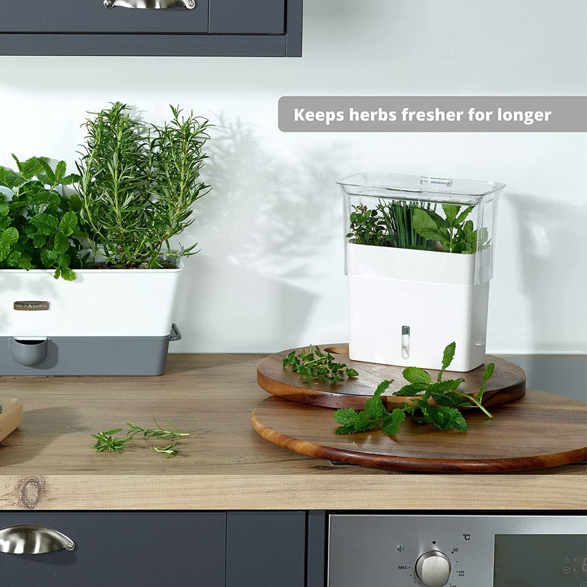 Fresh-Cut Herb Keeper