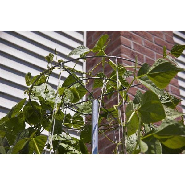Bean Tower Trellis - USA Made