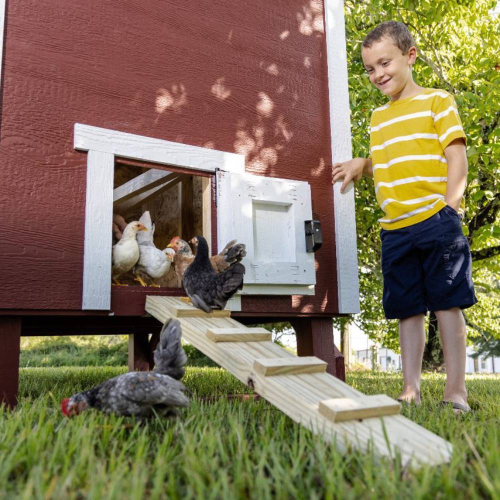 OverEZ Chicken Coop - Amish Made - Heavy Duty