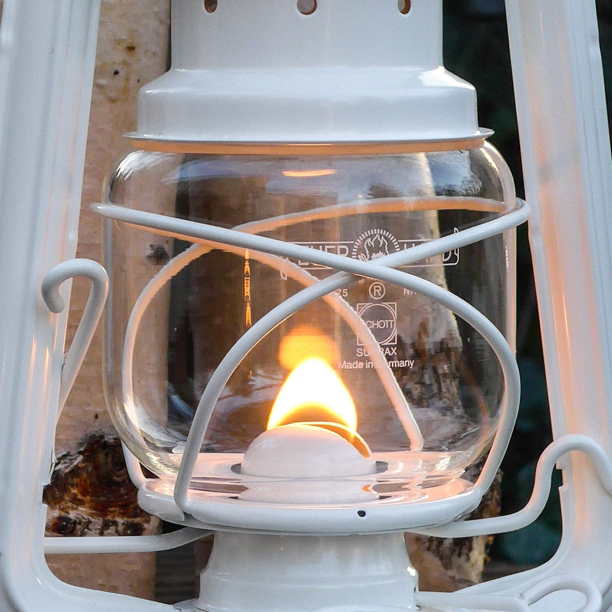 Replacement Globe for Feuerhand Lanterns