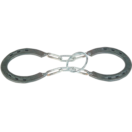 Unlucky Horseshoe Puzzle