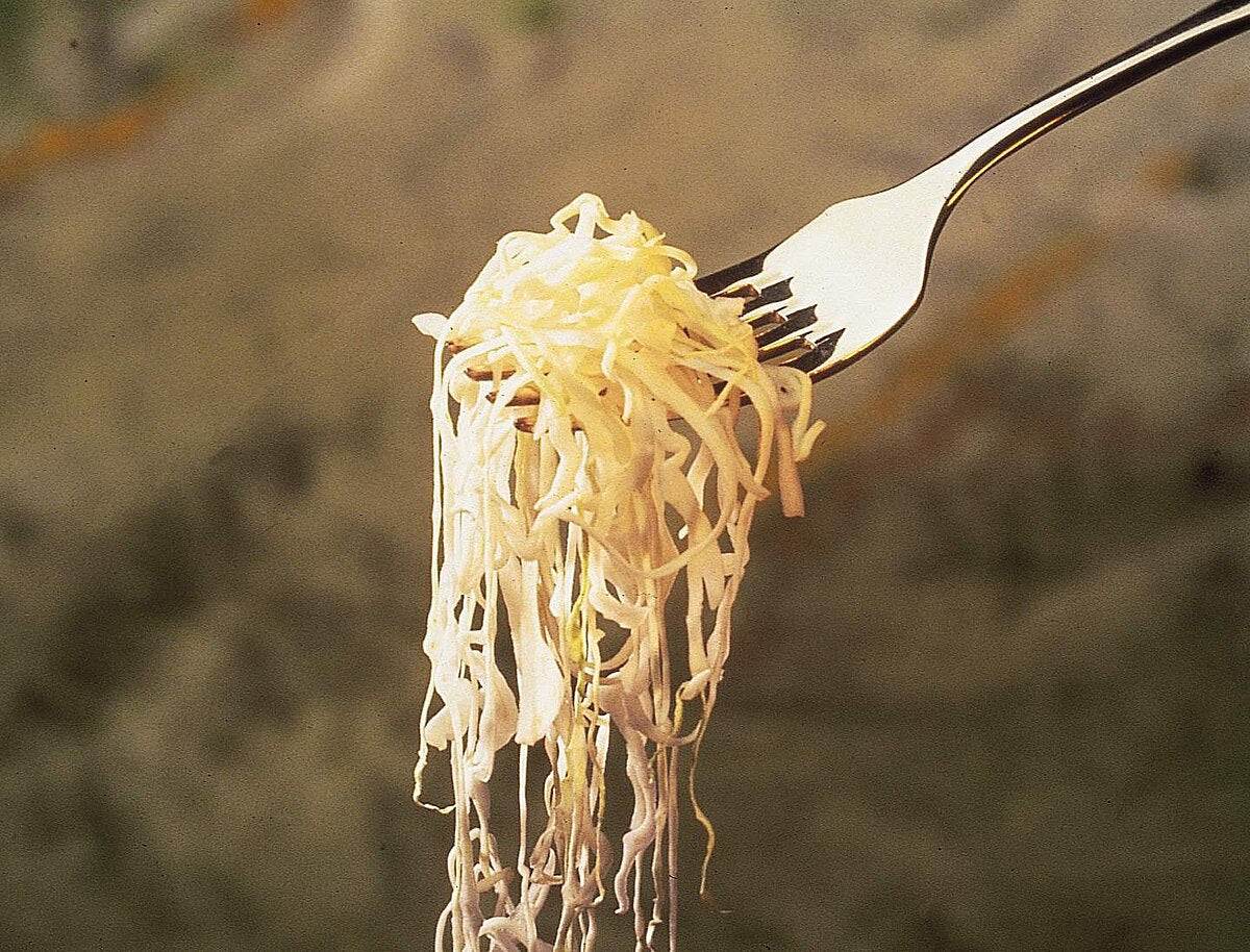 Making Sauerkraut and Pickled Vegetables at Home Book