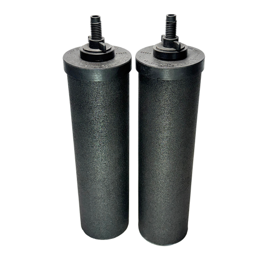 Berkey Phoenix Gravity New Millennium Edition Filter Elements (2)