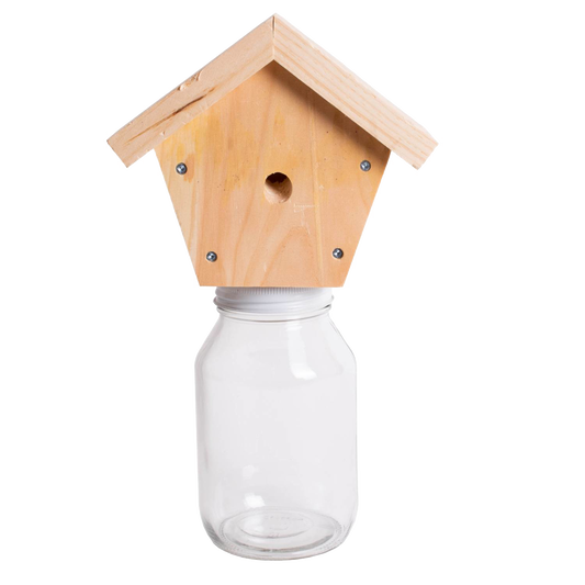 Outdoor Carpenter Bee Trap
