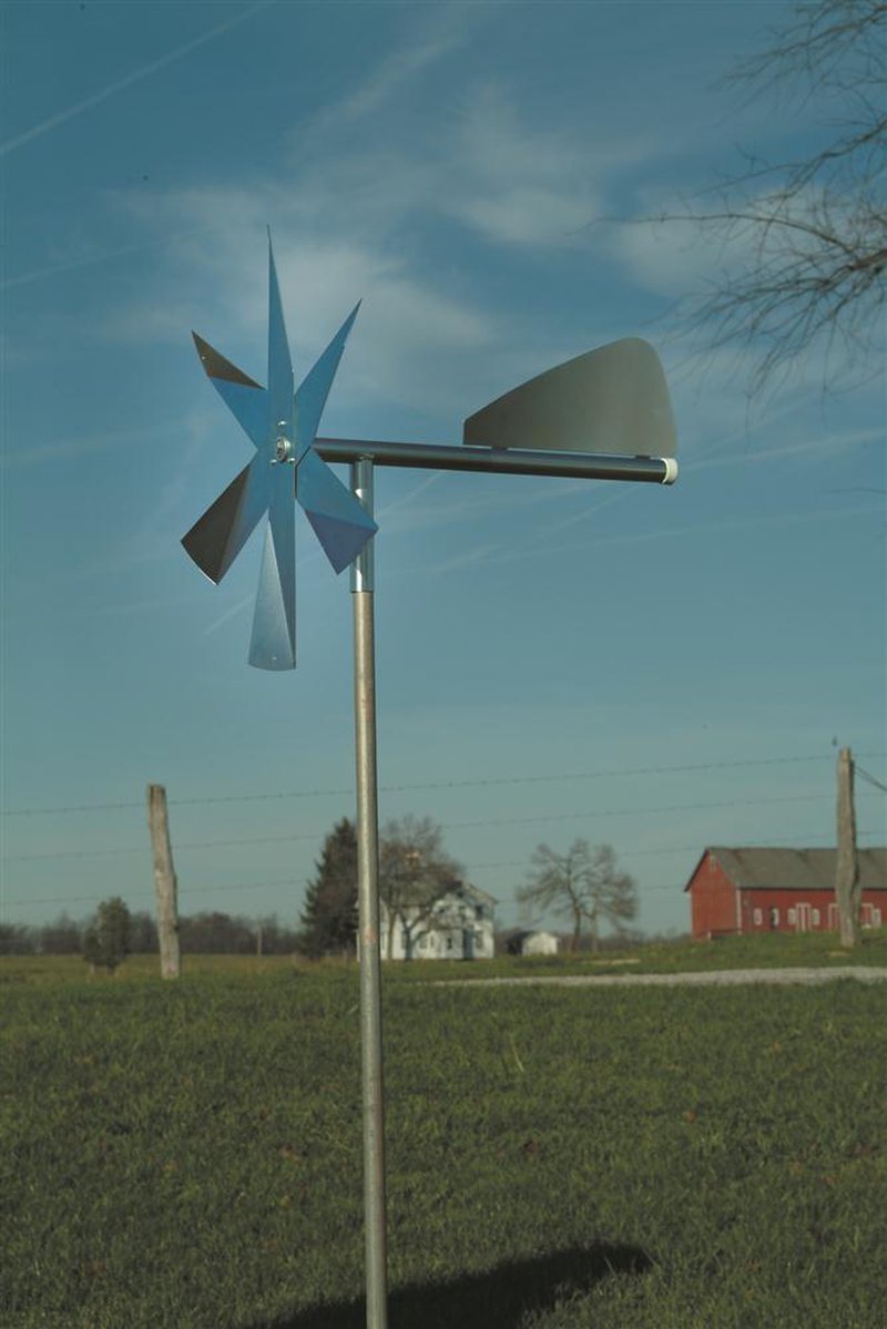 Mole Chasing Windmill