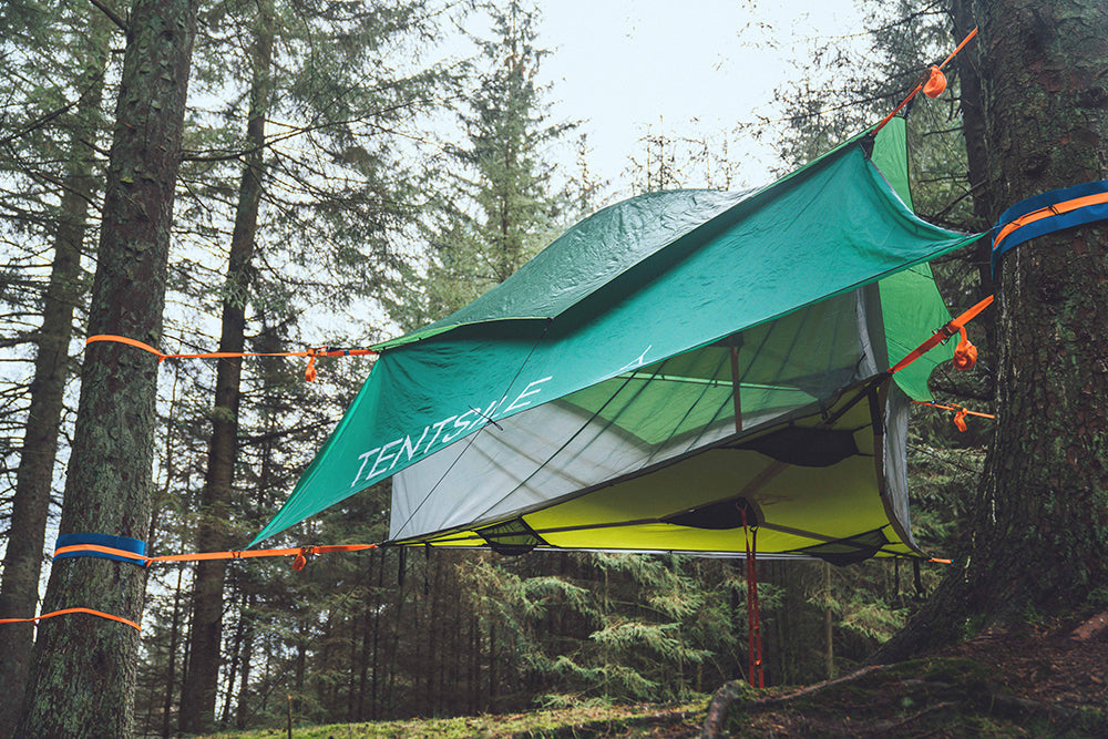 Stingray Classic Stack Top-Up Bundle