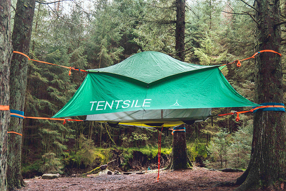 Stingray Classic Stack Top-Up Bundle