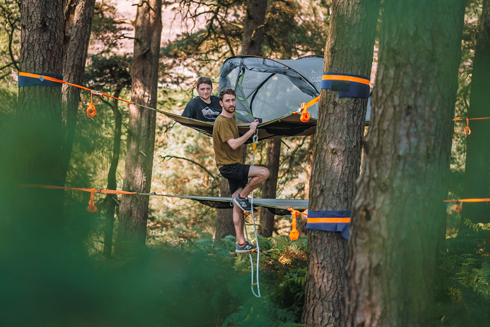 Safari Ladder (3.0)