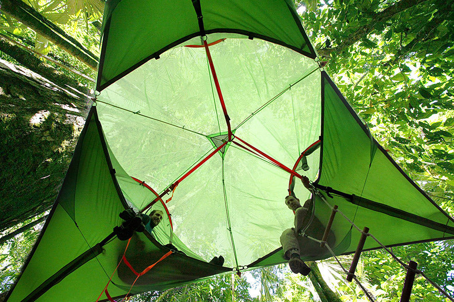 Trilogy 6-Person Tree Tent