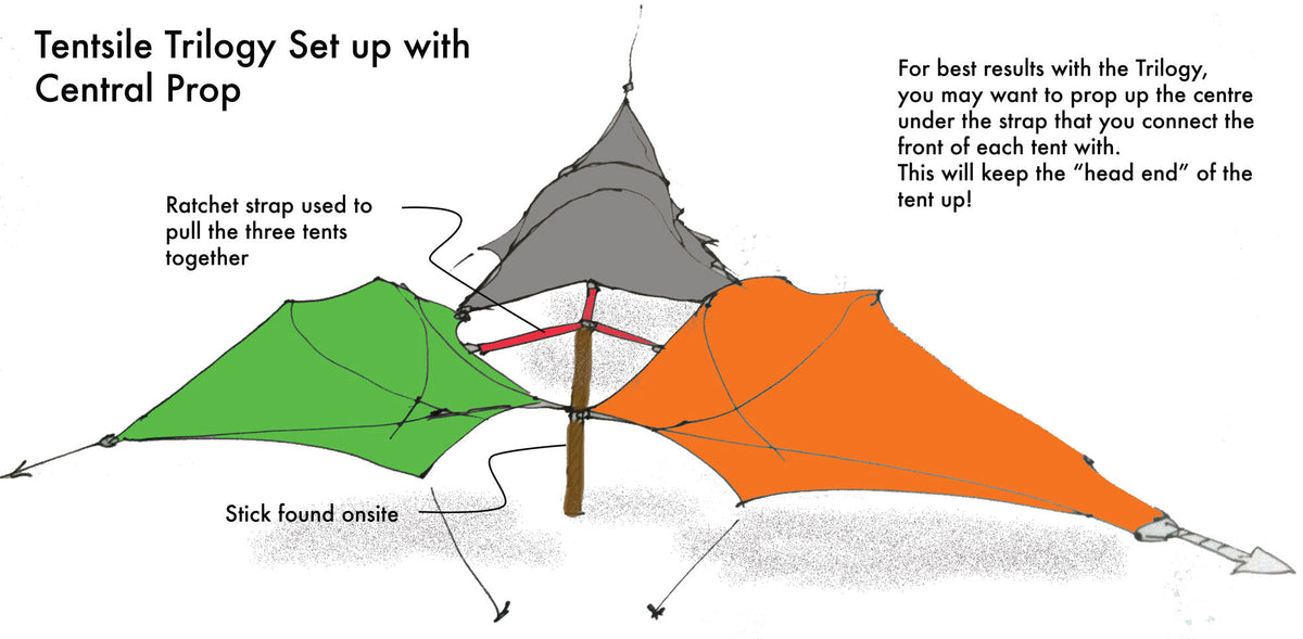Trilogy 6-Person Tree Tent