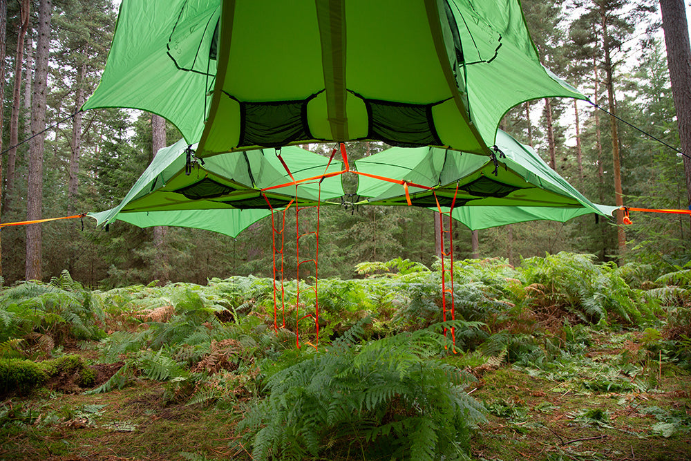 Trilogy 6-Person Tree Tent