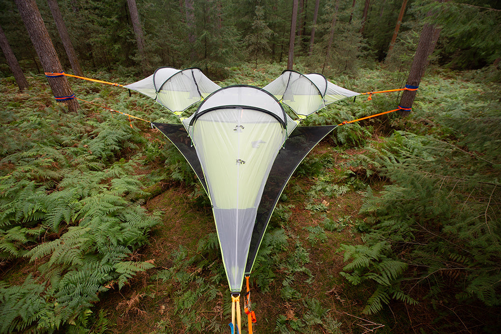 Trilogy 6-Person Tree Tent
