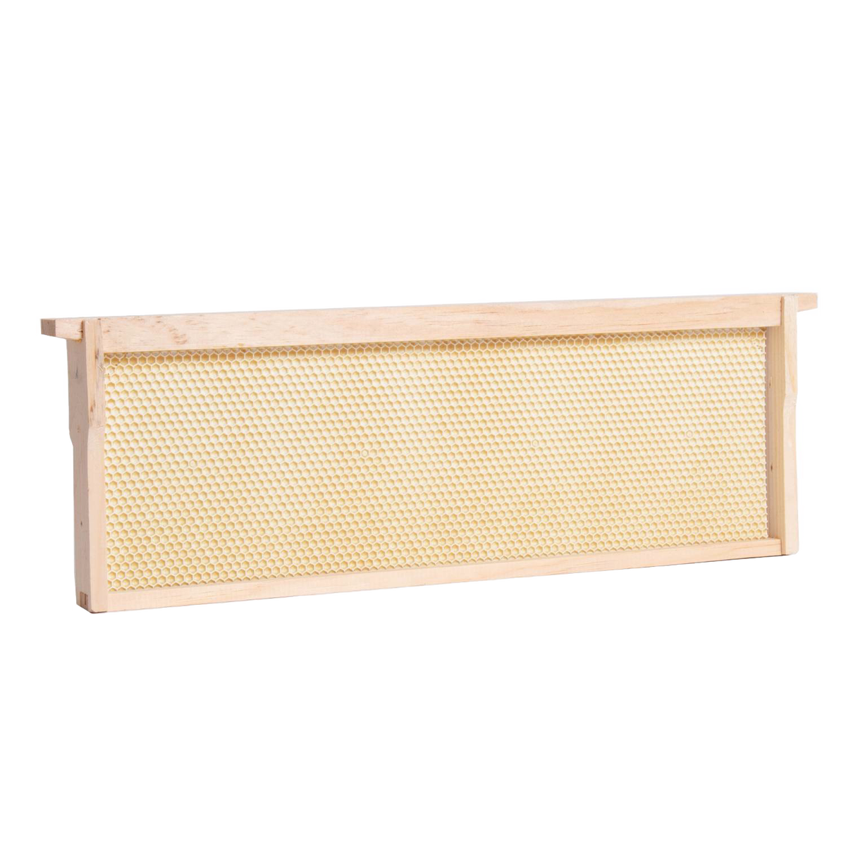 Medium Wood Bee Frame with Heavy Waxed Plastic