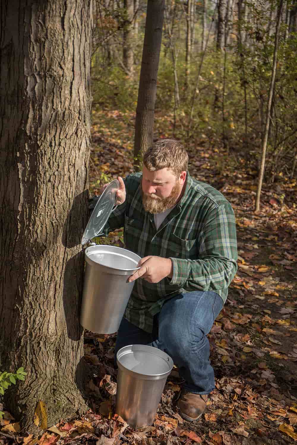 Maple Sugaring Starter Kit