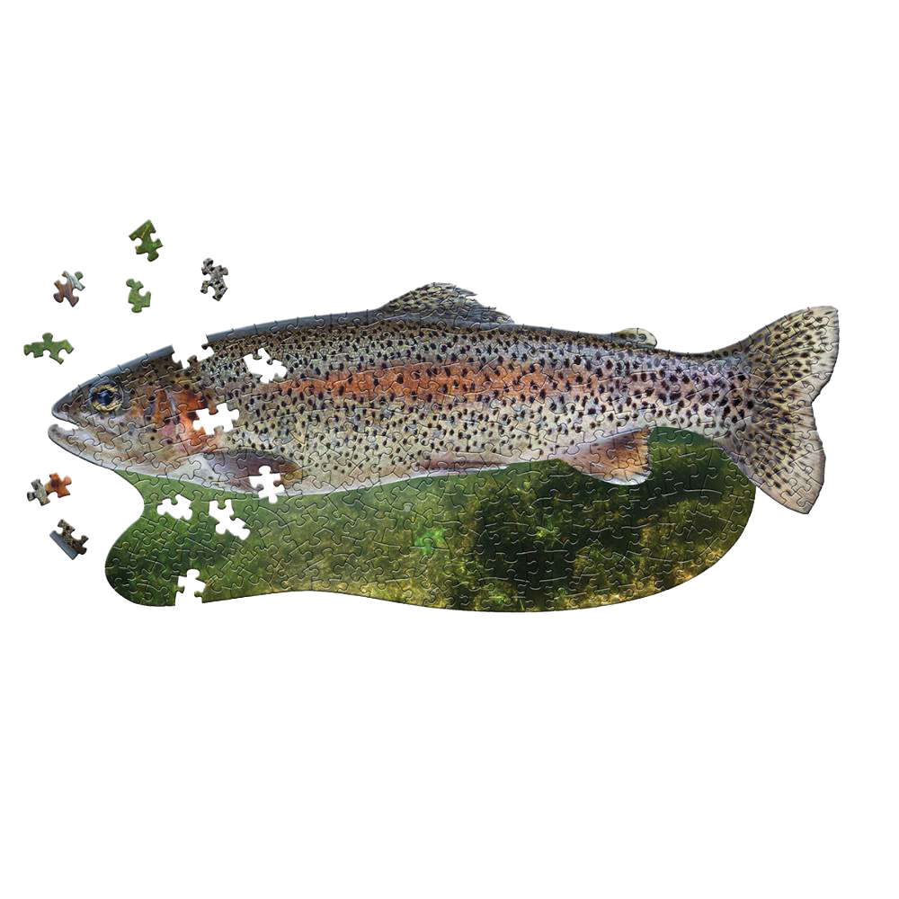 Shaped Jigsaw Puzzle - Trout- 300pcs