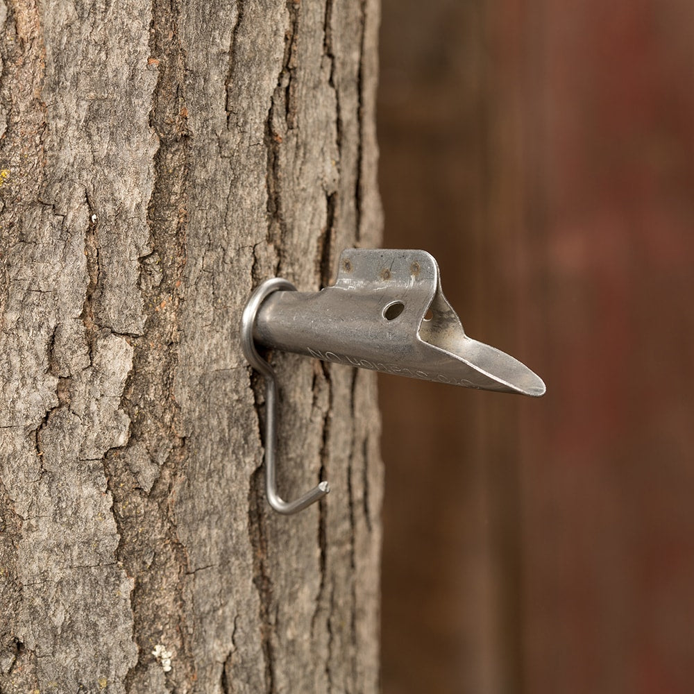 3-Tree Sap Collection Kit