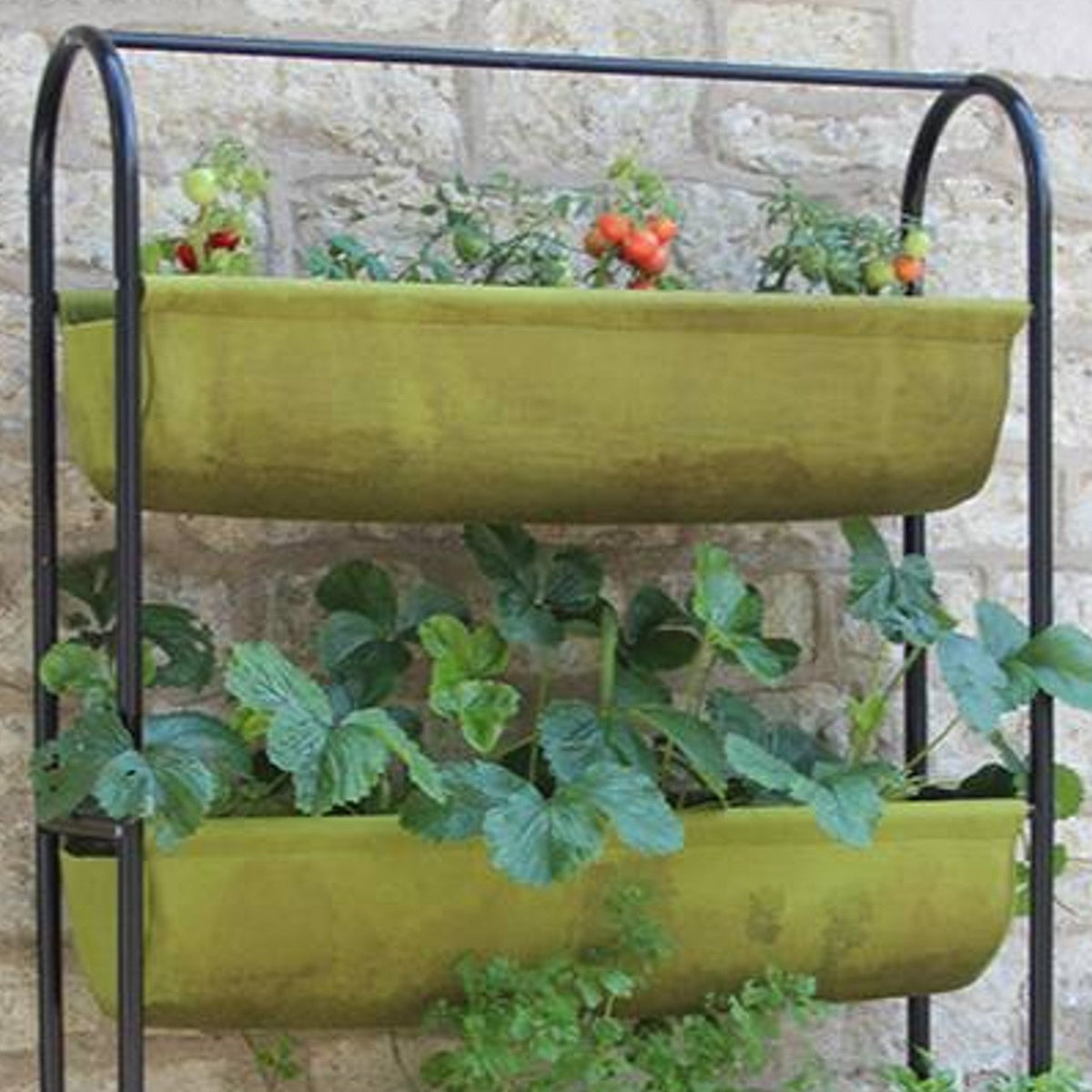Vigoroot Balcony Garden