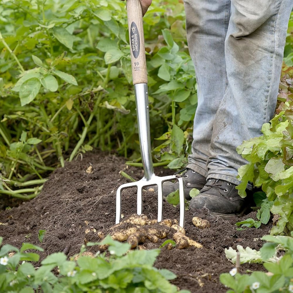 Spear & Jackson Traditional Stainless Digging Fork