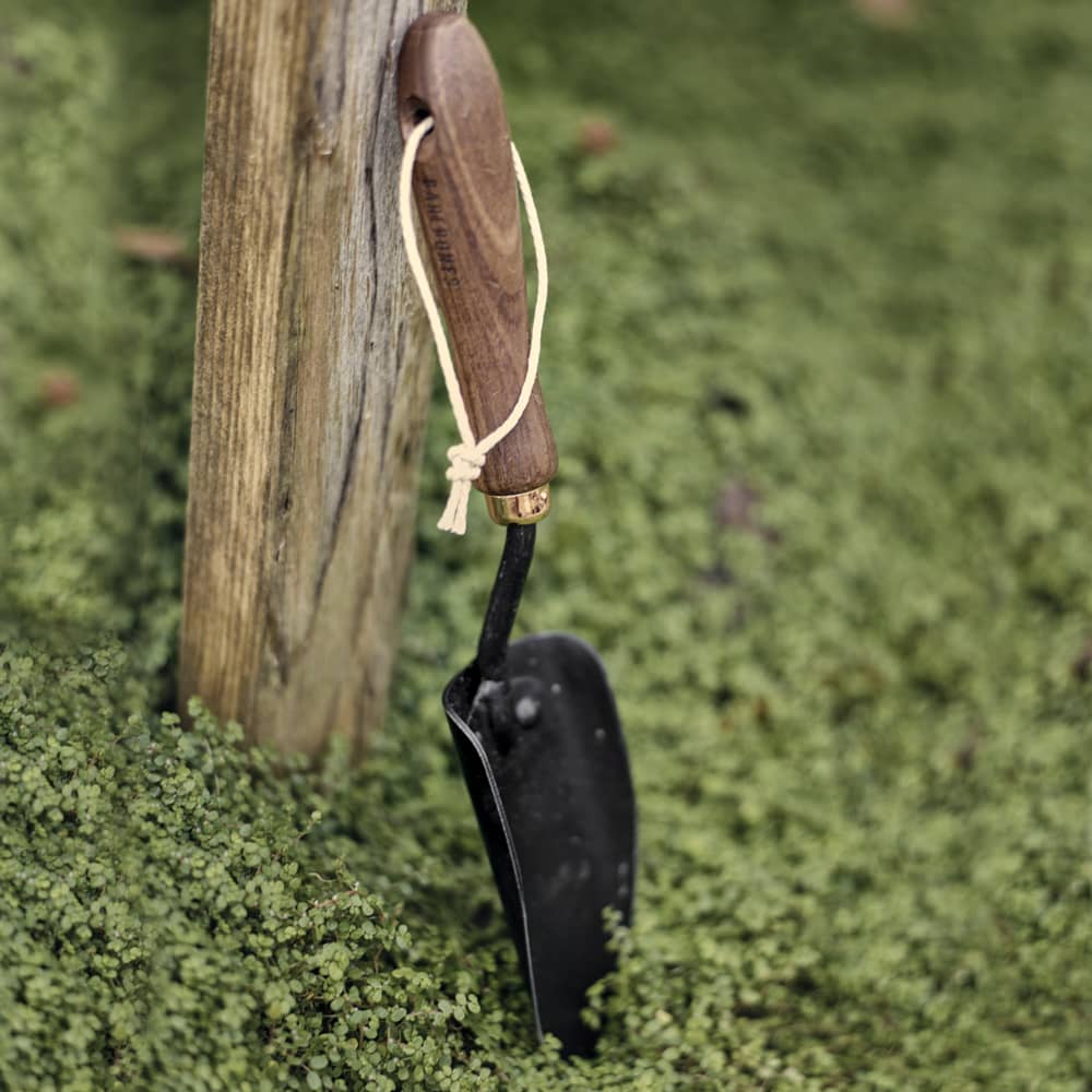 Garden Spade Hand Trowel