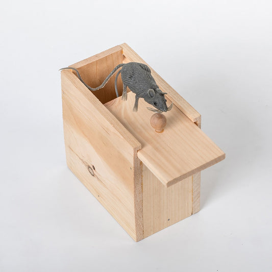 Mouse Box Surprise