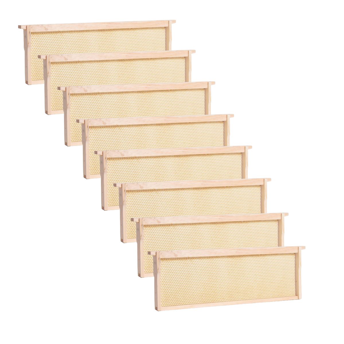Medium Wood Bee Frame with Heavy Waxed Plastic