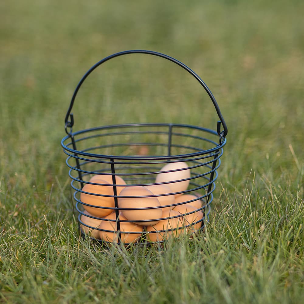 Small Egg Basket