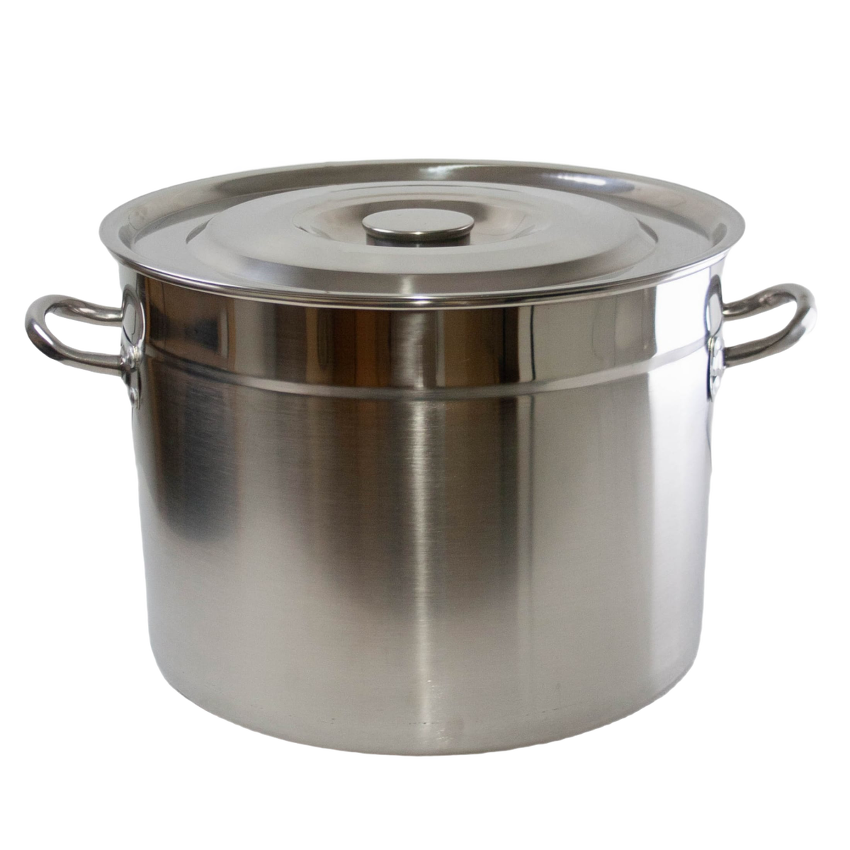 Stainless Steel Canner/Stockpot - 20 Qt