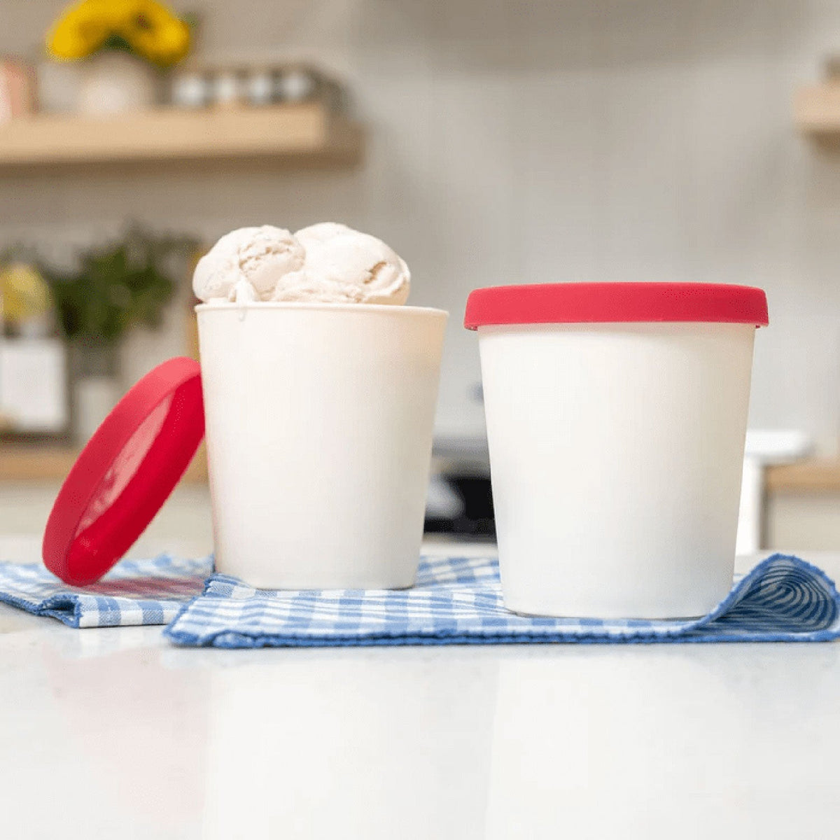 NutriMill 1-Quart Ice Cream Containers – 2-Pack