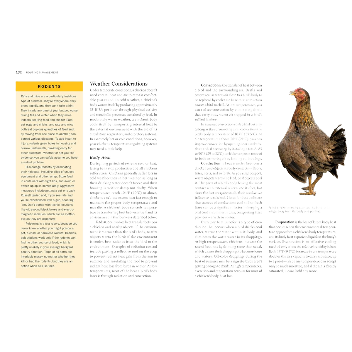 Storey's Guide to Raising Chickens Book