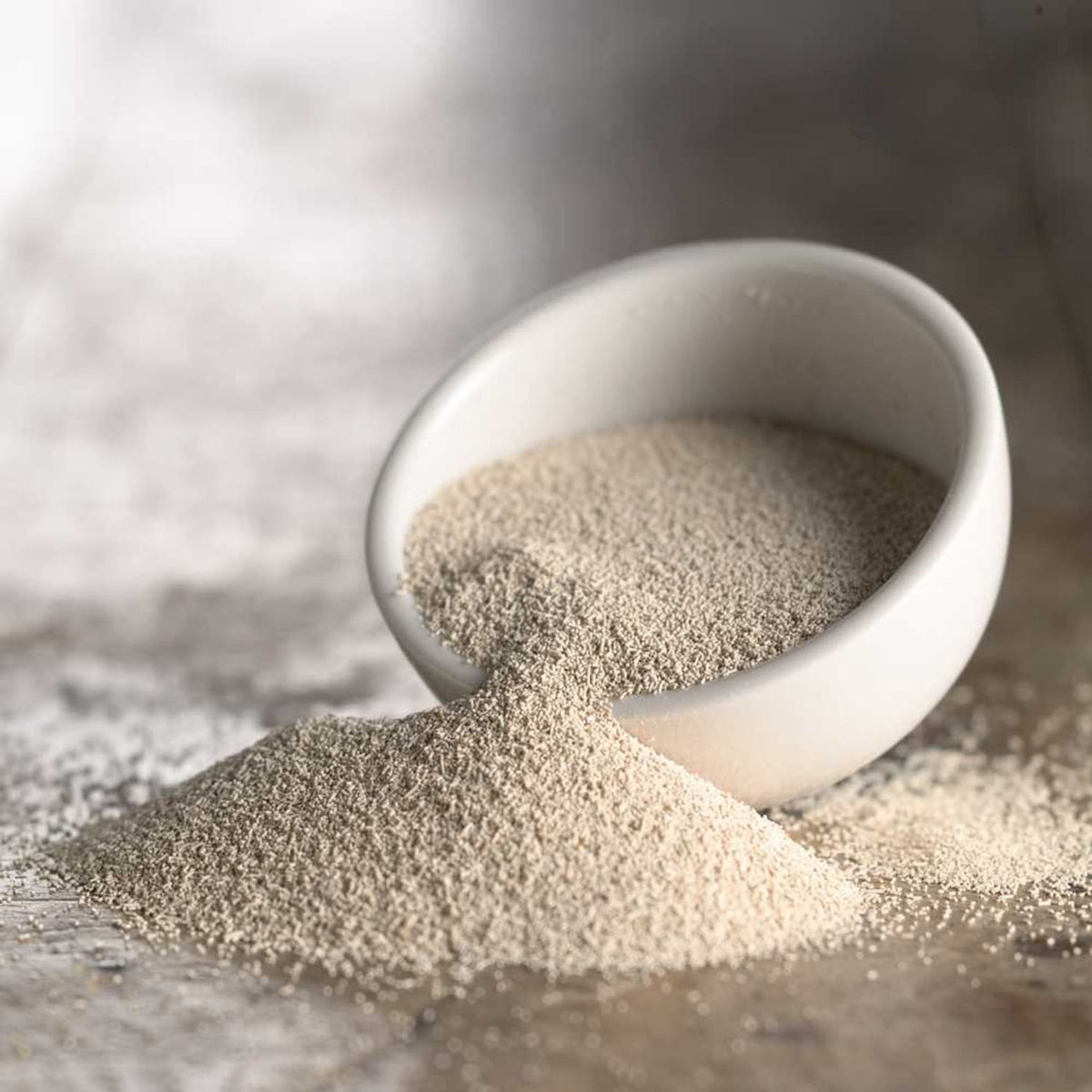 Red Star Active Dry Yeast 16 oz (1 lb)