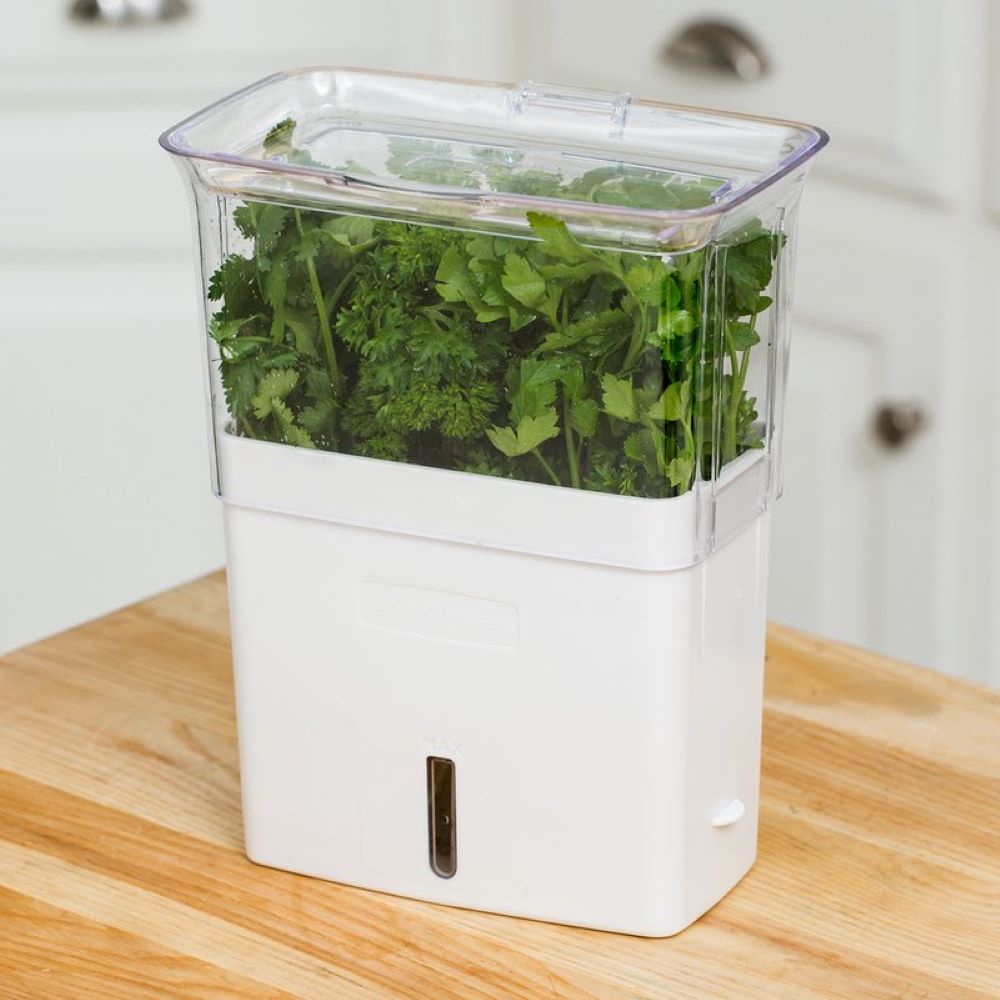 Fresh-Cut Herb Keeper