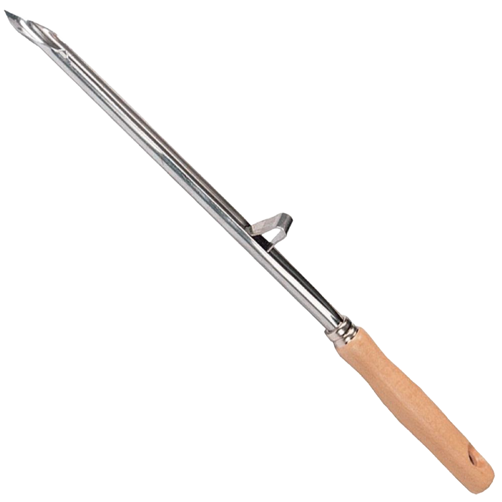 Larding Needle
