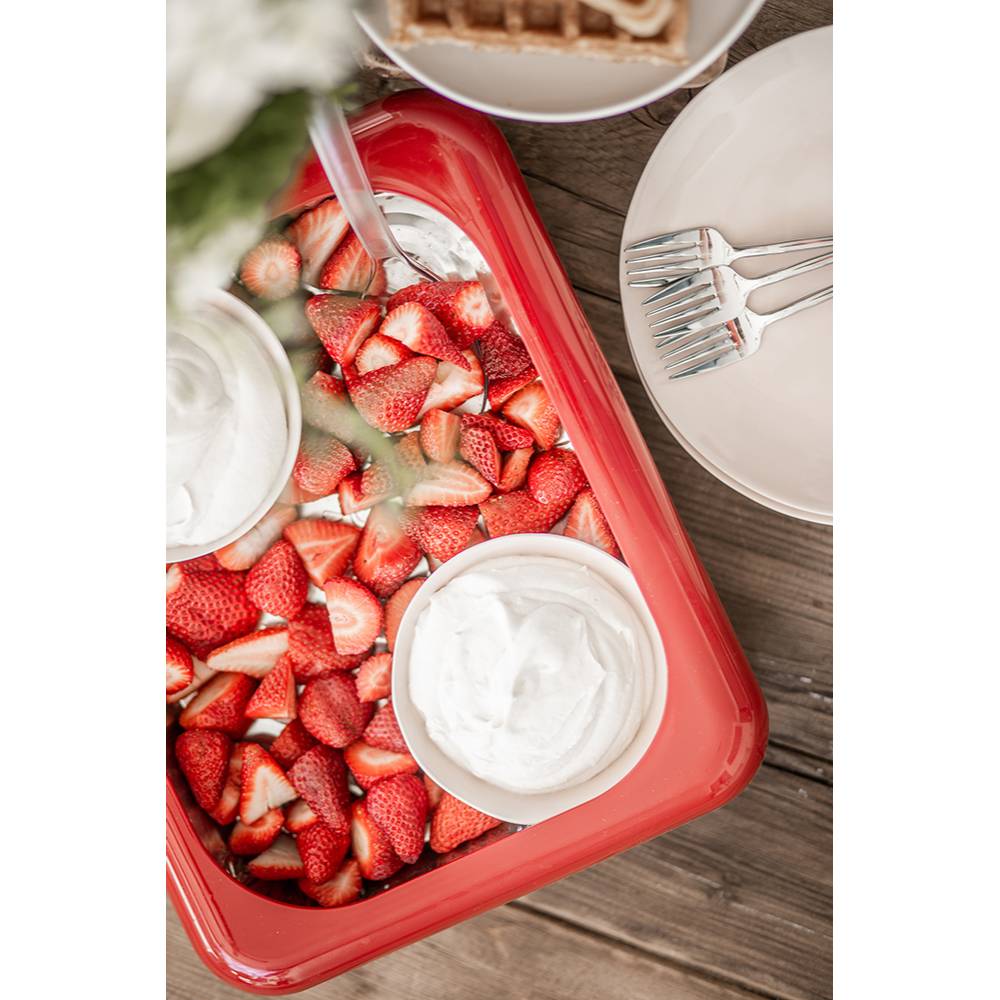 Fancy Panz Foil Pan Travel Cover - 9x13