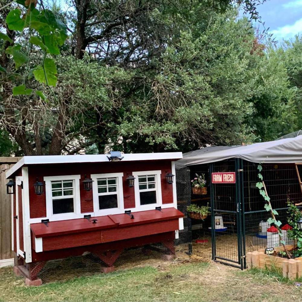 OverEZ Chicken Coop - Amish Made - Heavy Duty