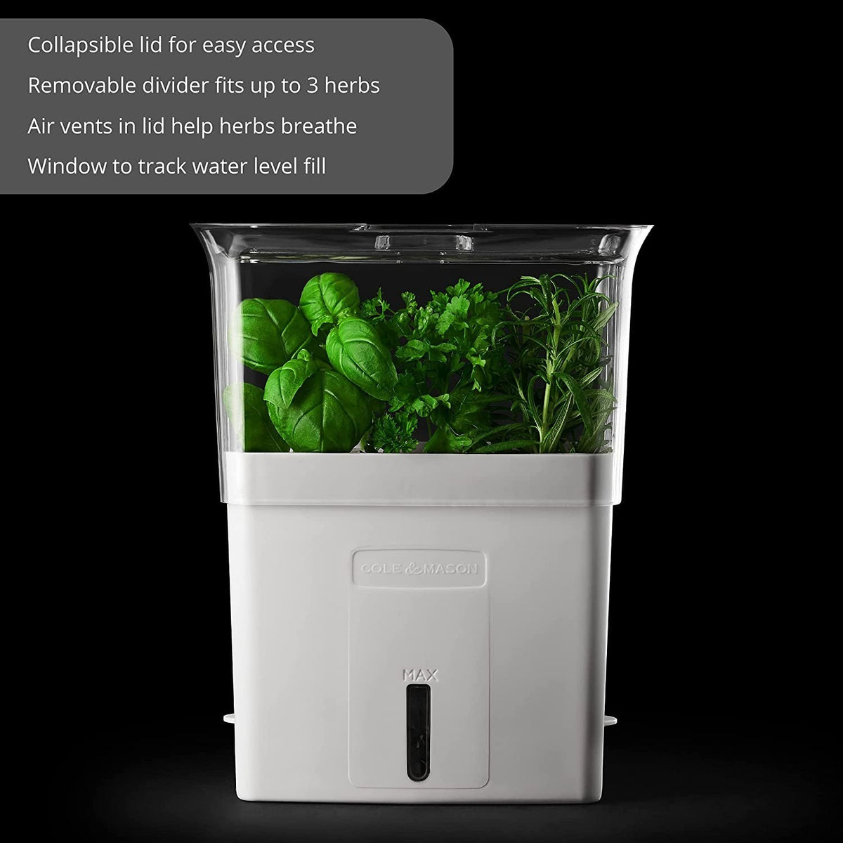Fresh-Cut Herb Keeper