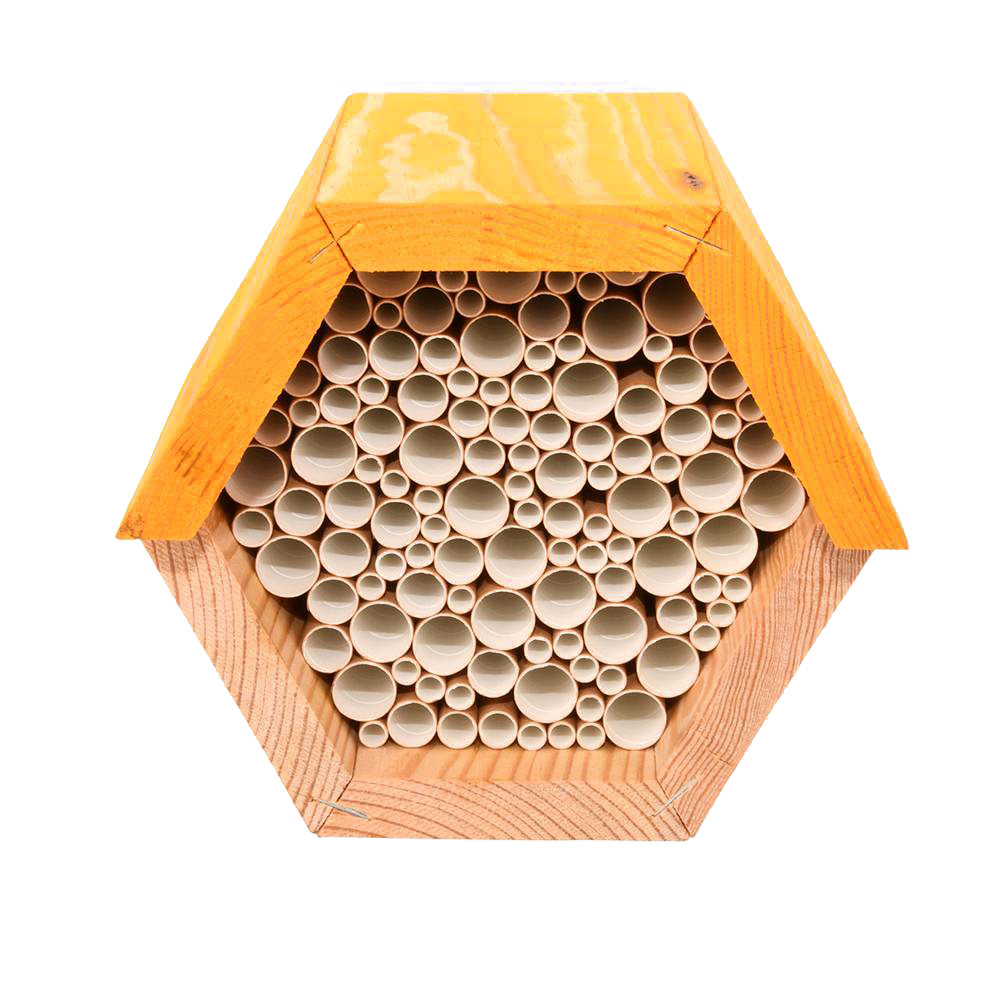 Hexagonal Bee House