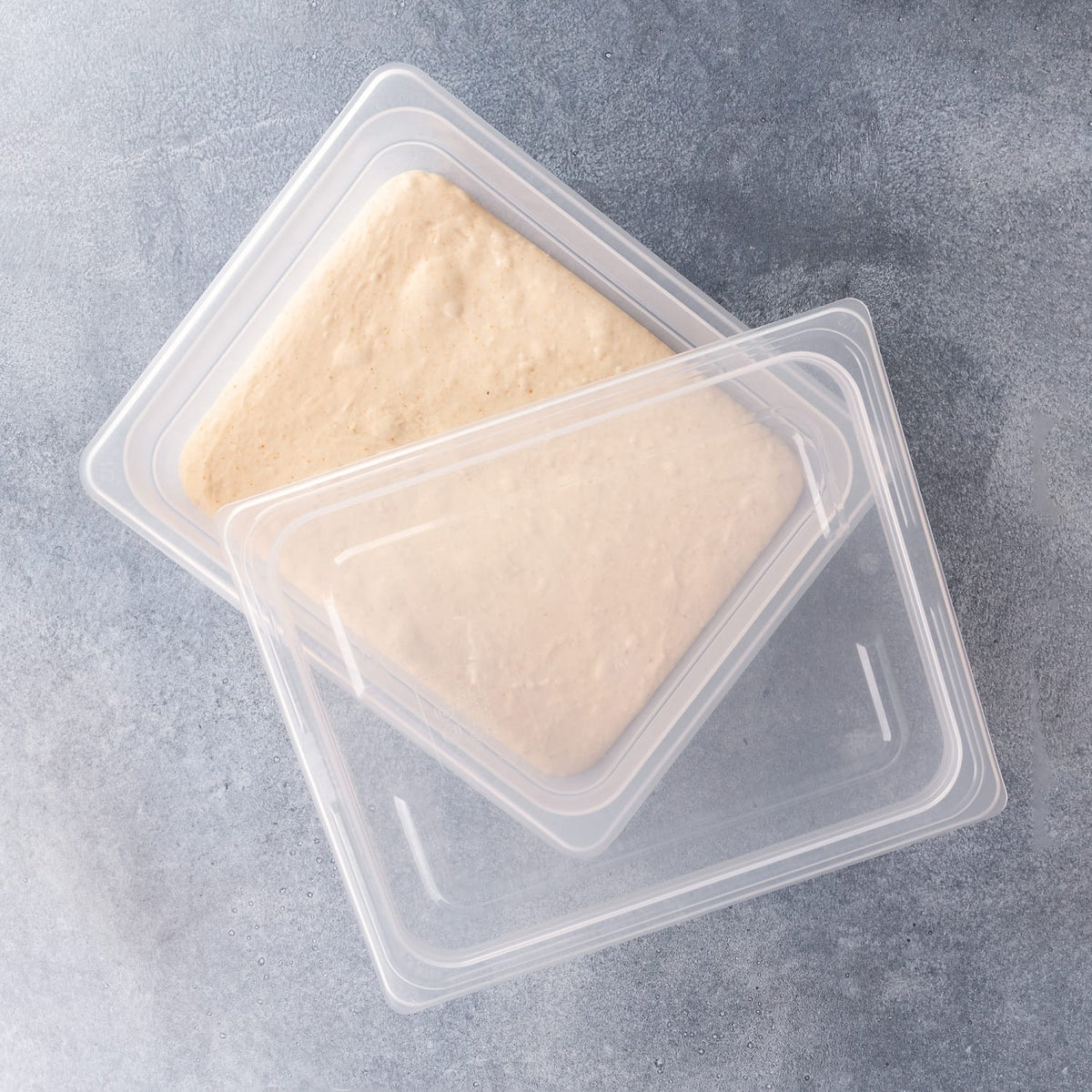 Brod & Taylor Proofing Container - 6L