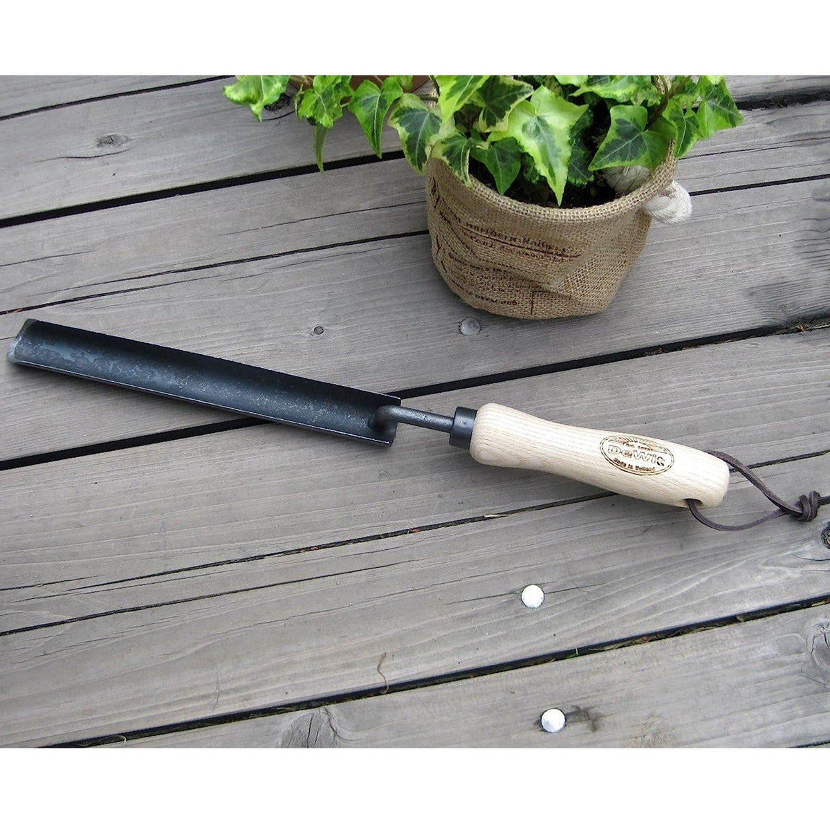 DeWit Dutch Transplanter