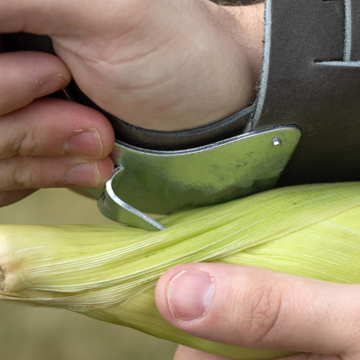 Single Hook Corn Husker