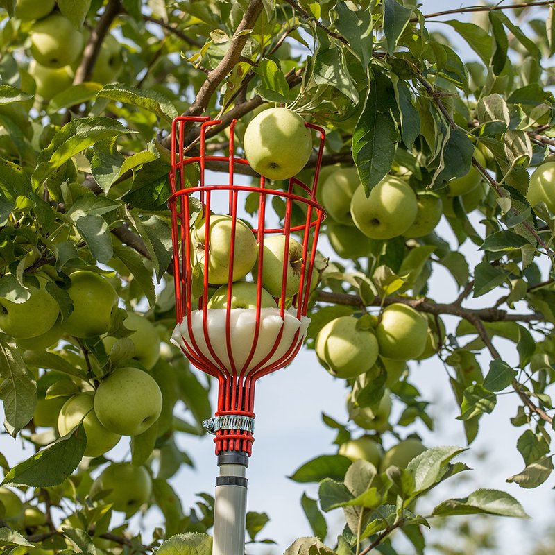 Fruit Picker Basket with Telescoping Pole