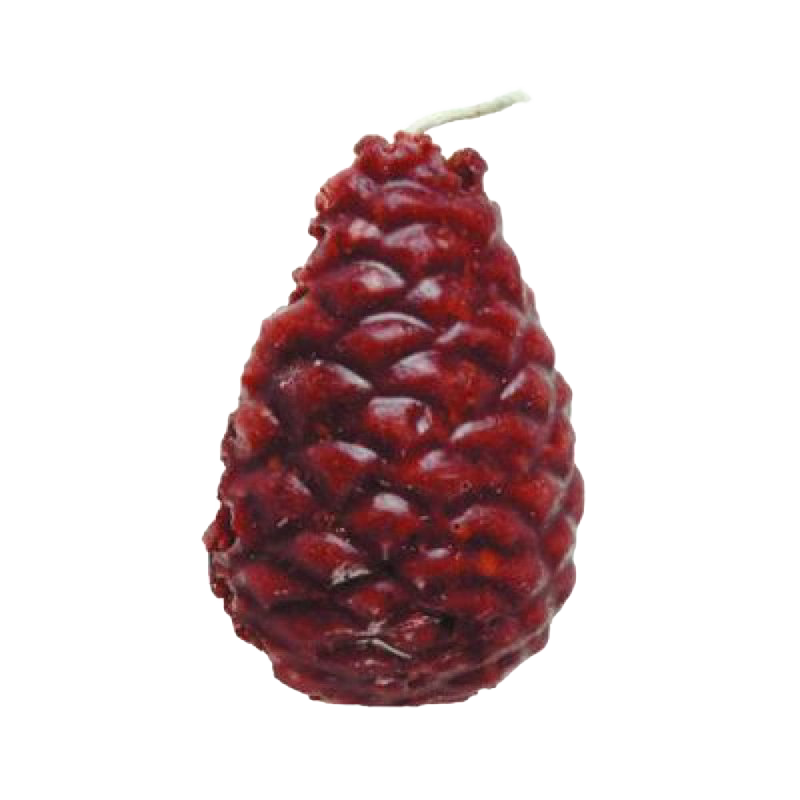 Pine Cone Firestarters