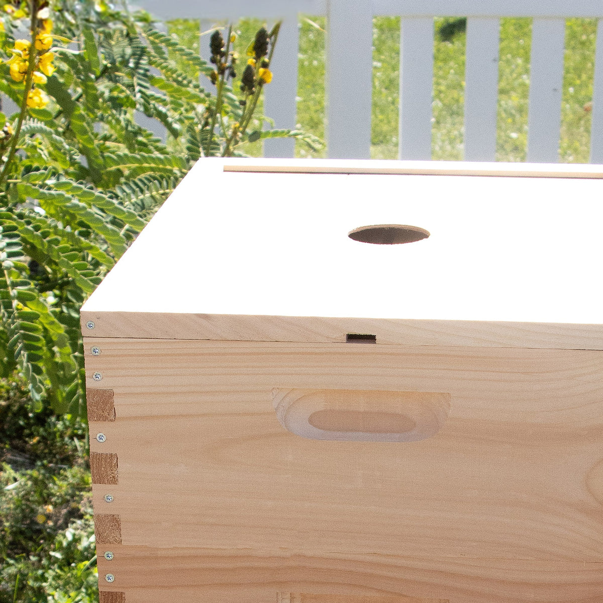 10-Frame Notched Inner Cover for Hive
