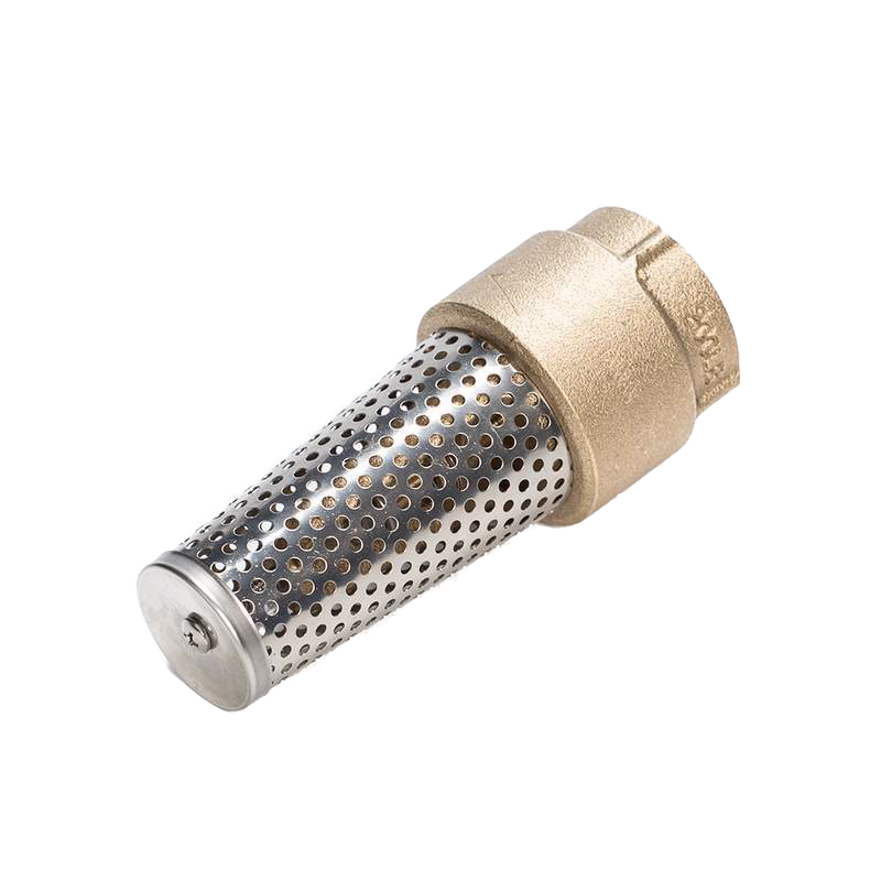 Brass/Stainless Steel 1-1/4" Foot Valve