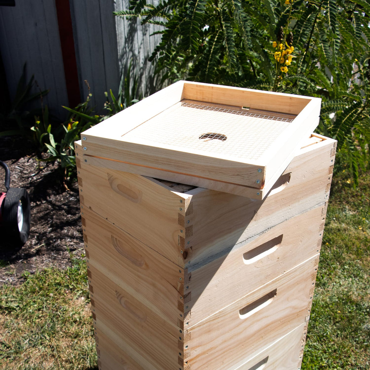 10-Frame Candy Board Feeder for Hive