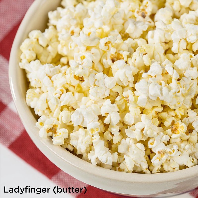 Amish Country Microwave Popcorn - Ladyfinger (Butter)